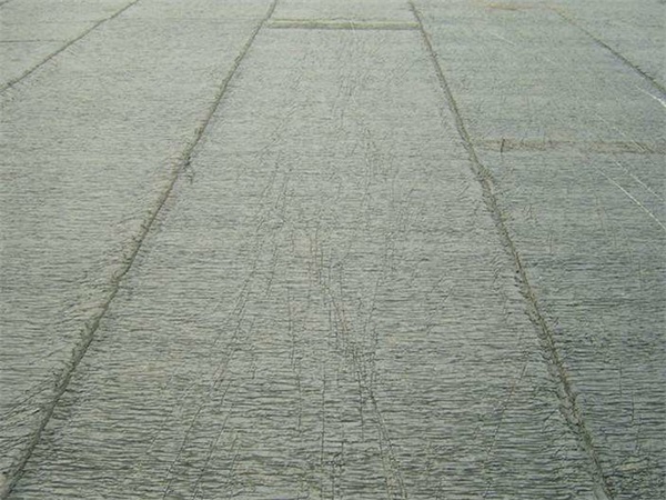 SBS防水卷材(圖1)